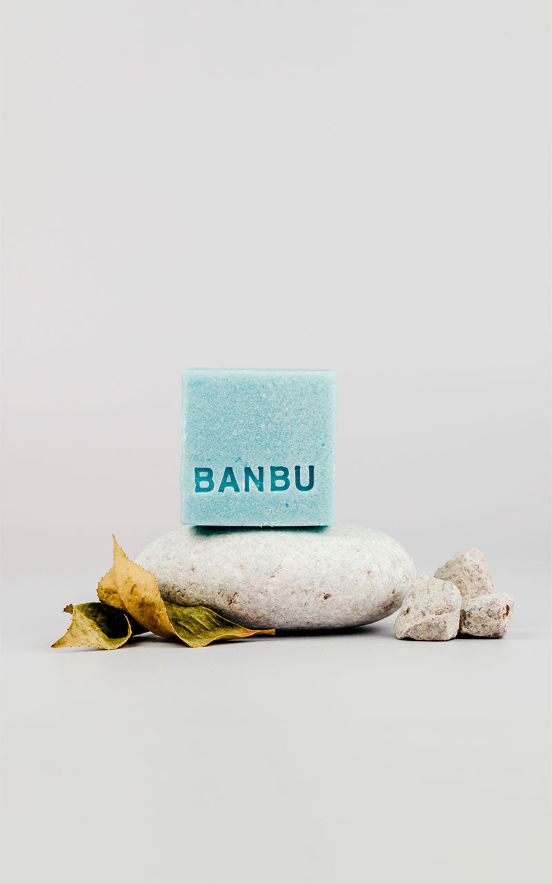 BANBU Nostalgia Solid Shower Gel